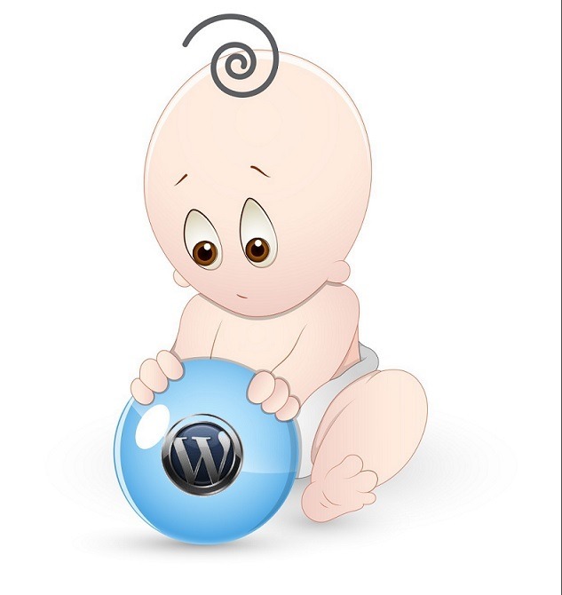 Why you should use WordPress Child Theme?