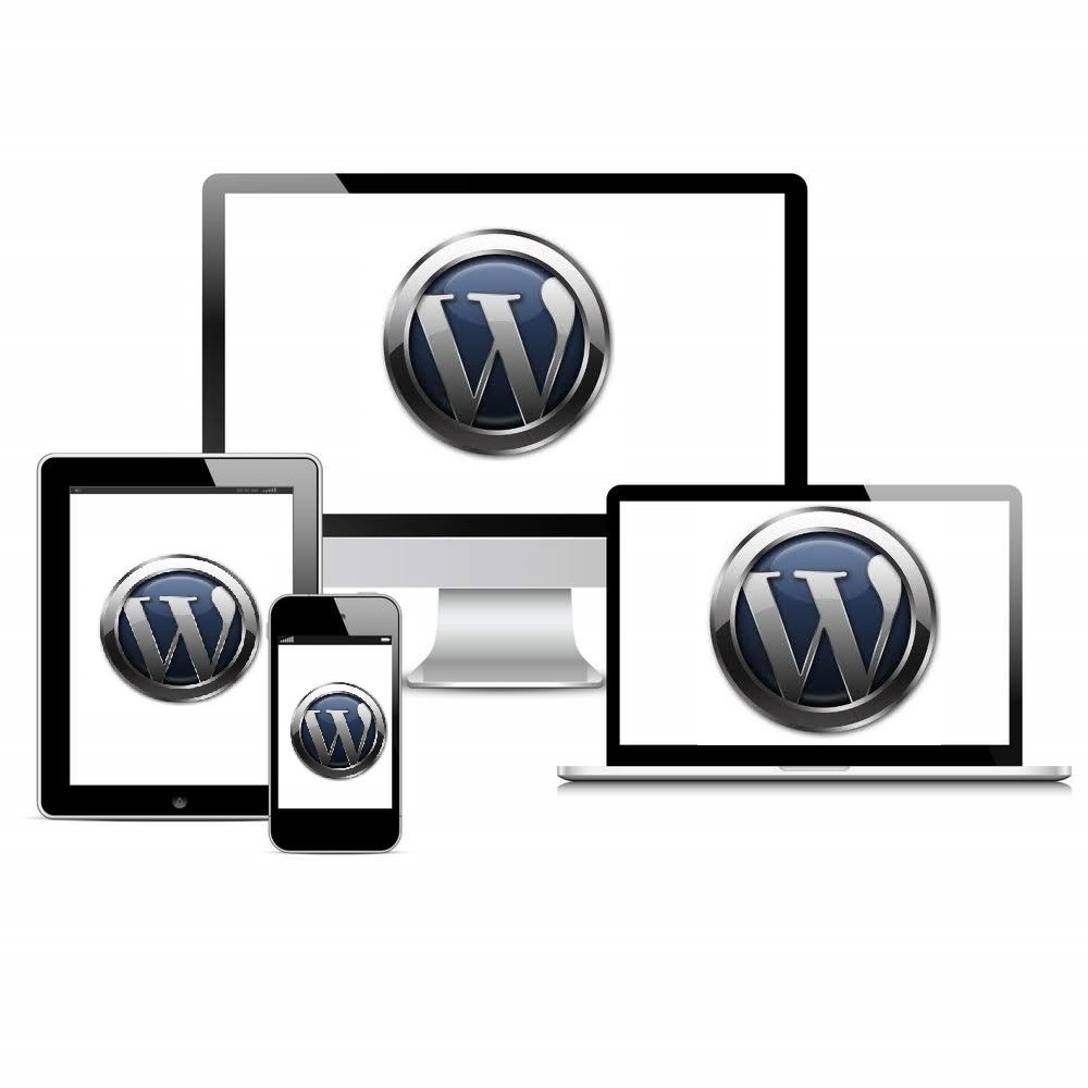Perils of Automated WordPress Updates